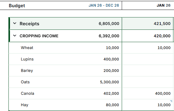 Budget Codes.png
